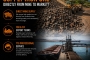 ?do we supply iron ore directly from mine to market