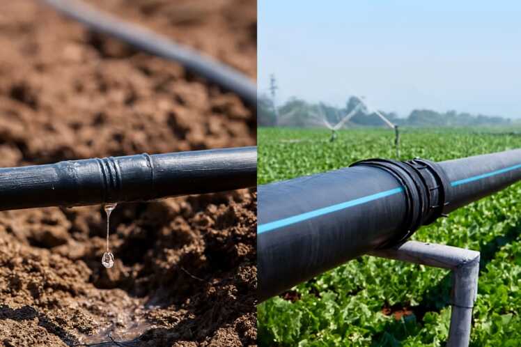 PE100 vs PE80 in Pressurized Irrigation Systems How to choose the right polyethylene grade for drip and sprinkler irrigation